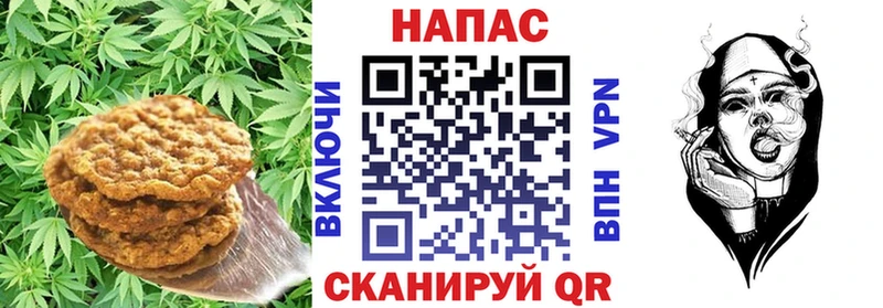 Купить закладки  Клинцы  Еда ТГК конопля 