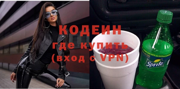 индика Иннополис