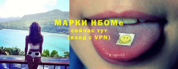 индика Иннополис