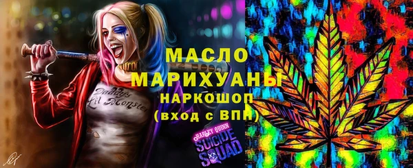 индика Иннополис