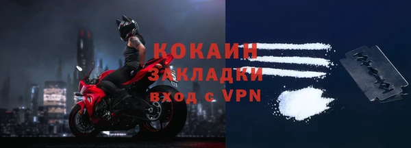 индика Иннополис