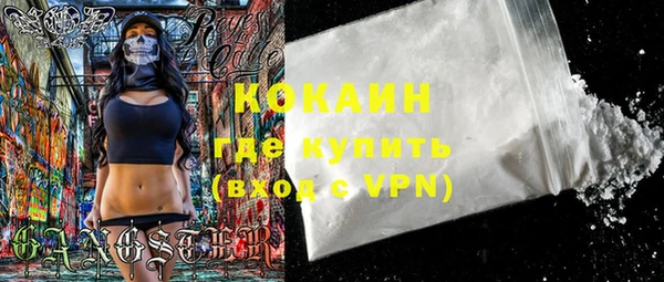 индика Иннополис