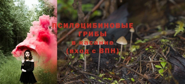 индика Иннополис