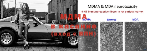 индика Иннополис