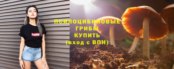 соль ск Инта