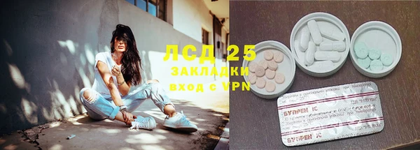 индика Иннополис