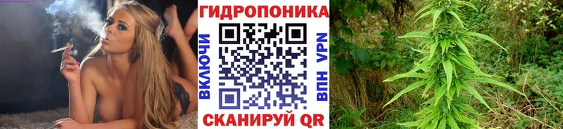 Каннабис сатива Купить закладки Клинцы